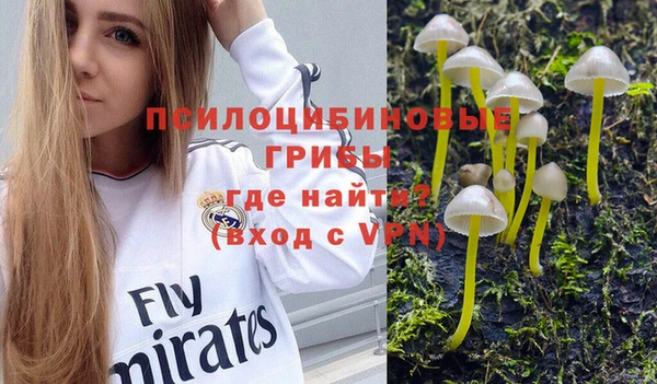 хмурый Волосово