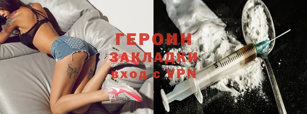 прущие грибы Вязники